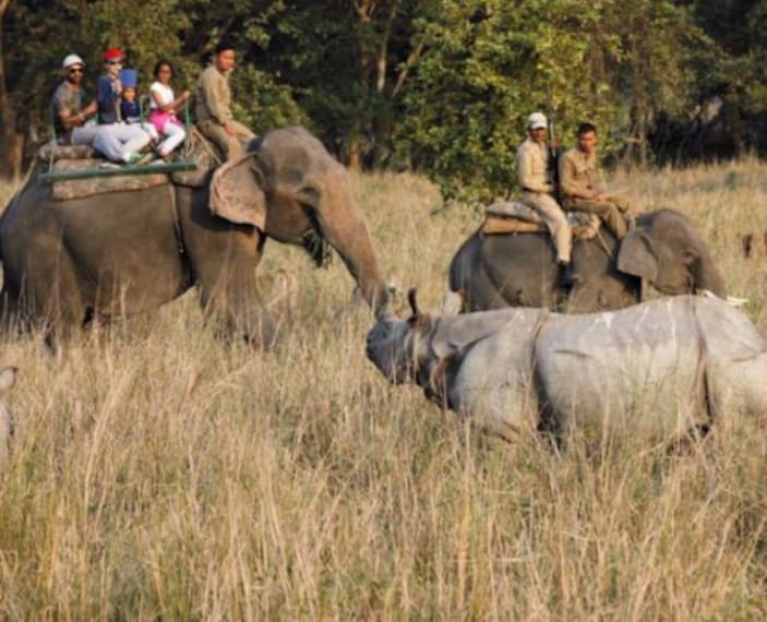 Visit Pobitora Wildlife Sanctuary-1